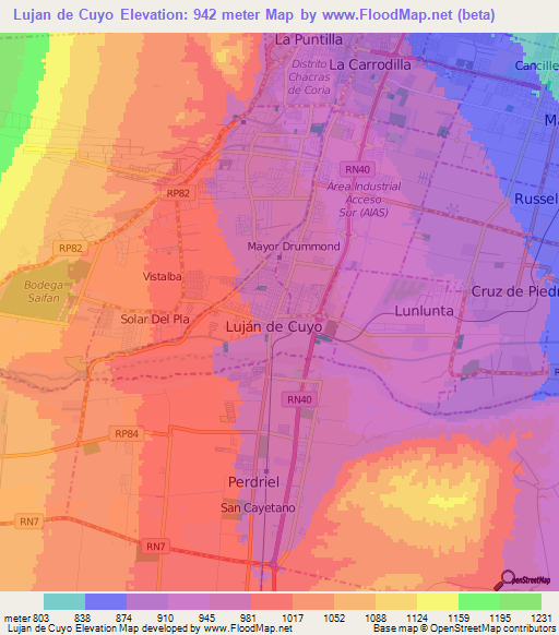Lujan de Cuyo,Argentina Elevation Map