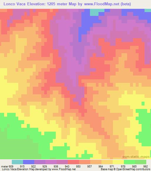 Lonco Vaca,Argentina Elevation Map