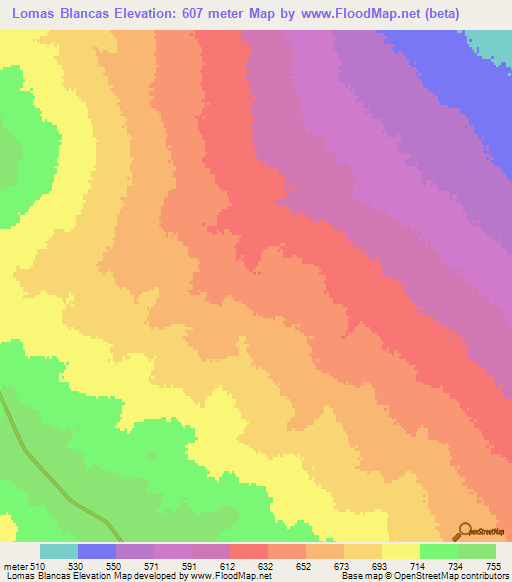 Lomas Blancas,Argentina Elevation Map