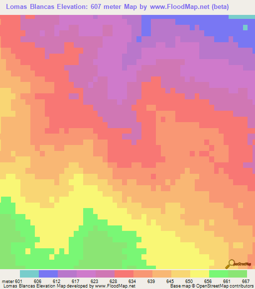 Lomas Blancas,Argentina Elevation Map