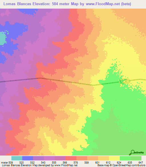 Lomas Blancas,Argentina Elevation Map