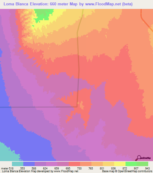 Loma Blanca,Argentina Elevation Map