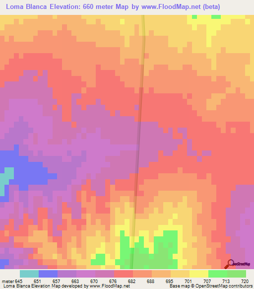 Loma Blanca,Argentina Elevation Map