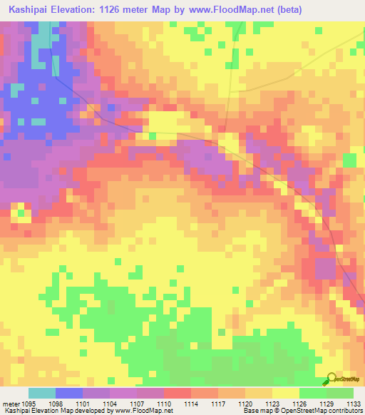 Kashipai,Congo (Kinshasa) Elevation Map