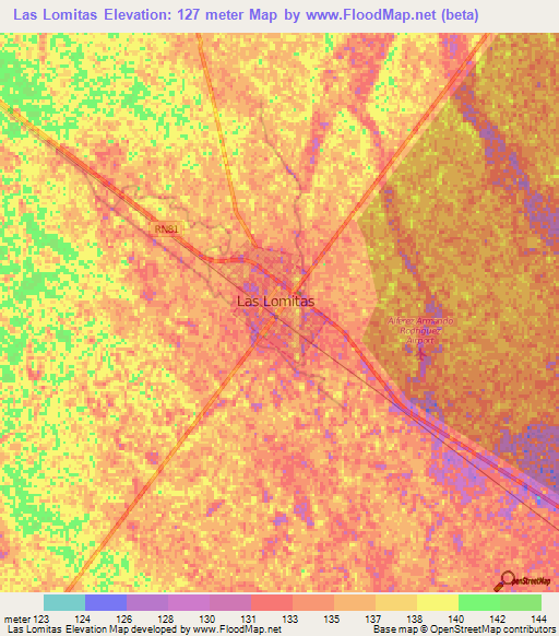 Las Lomitas,Argentina Elevation Map