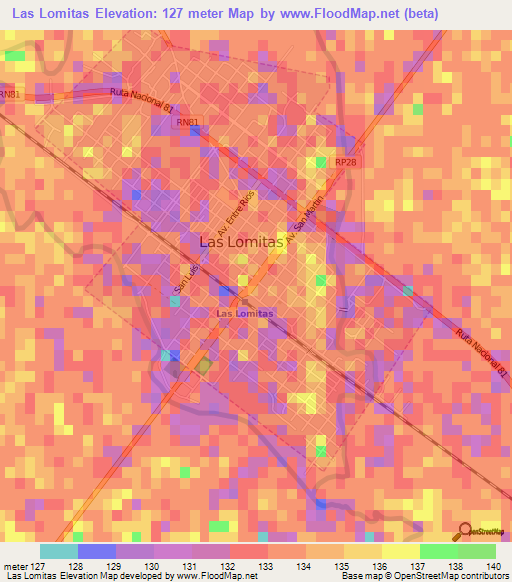 Las Lomitas,Argentina Elevation Map