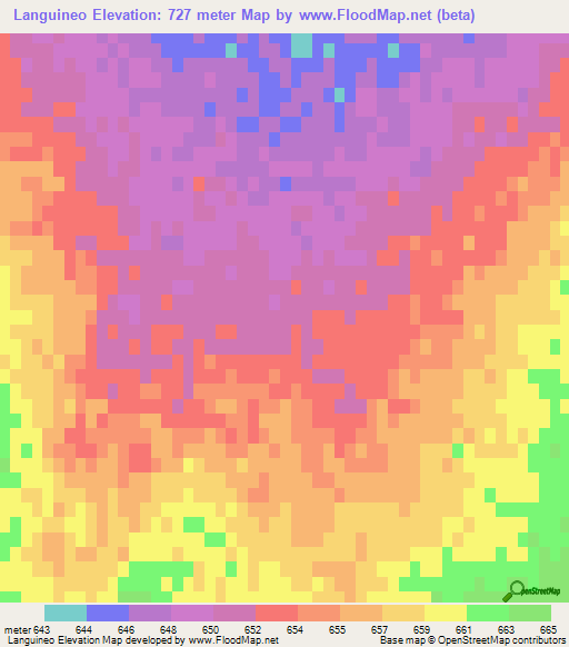Languineo,Argentina Elevation Map