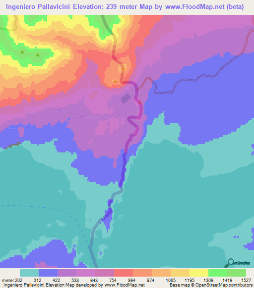 Ingeniero Pallavicini,Argentina Elevation Map