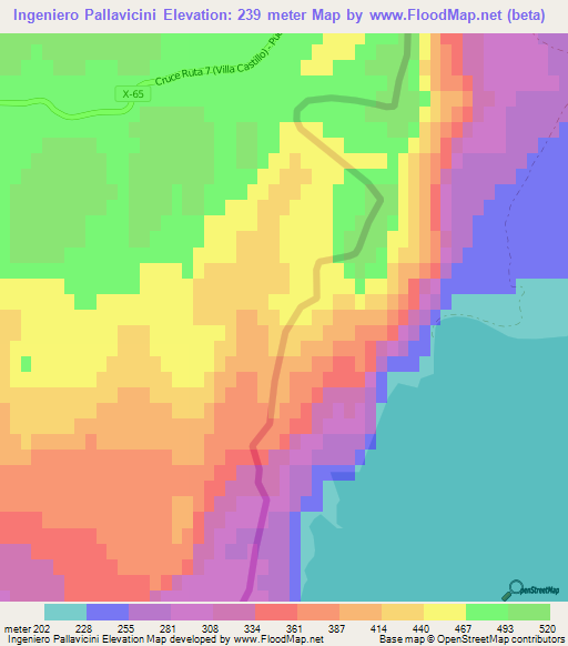 Ingeniero Pallavicini,Argentina Elevation Map