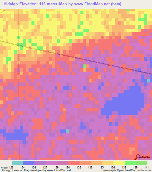 Hidalgo,Argentina Elevation Map