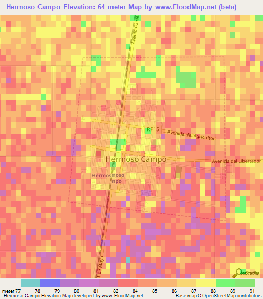 Hermoso Campo,Argentina Elevation Map