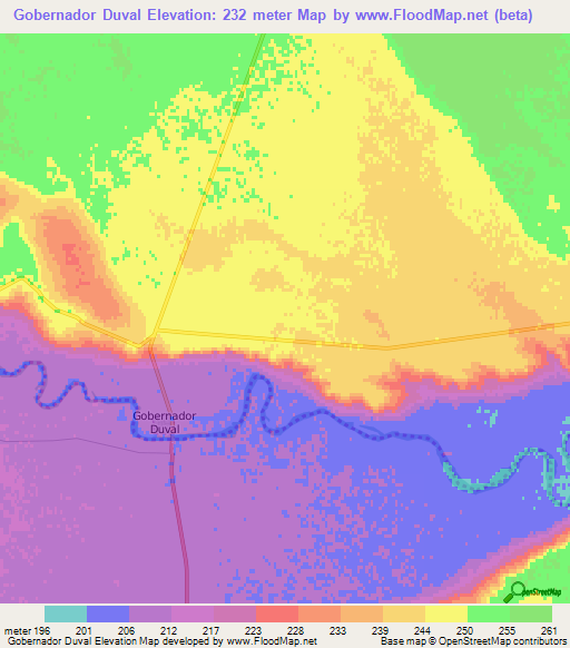 Gobernador Duval,Argentina Elevation Map