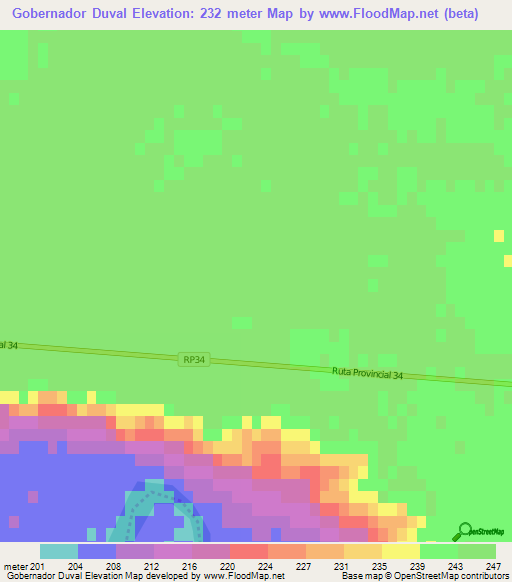 Gobernador Duval,Argentina Elevation Map