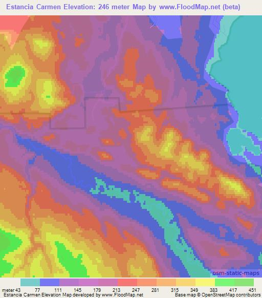 Estancia Carmen,Argentina Elevation Map