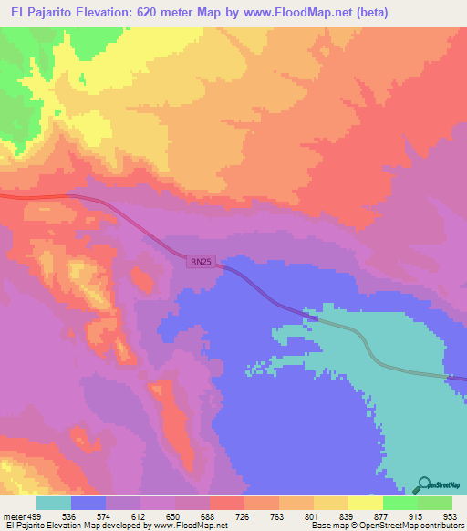 El Pajarito,Argentina Elevation Map