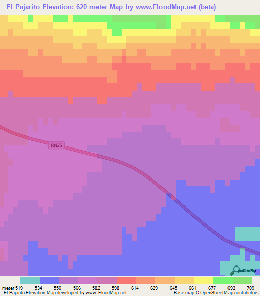 El Pajarito,Argentina Elevation Map