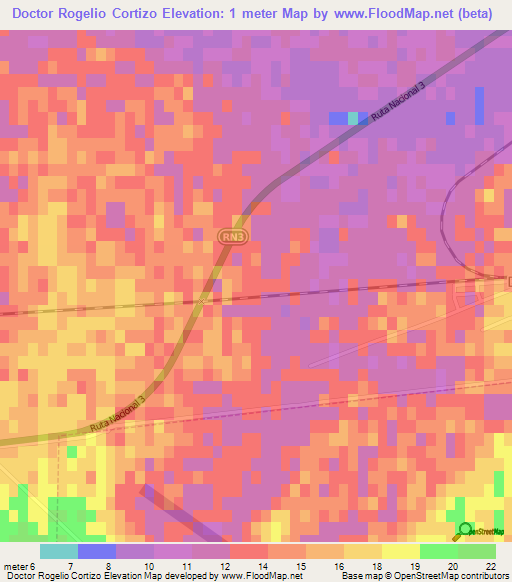 Doctor Rogelio Cortizo,Argentina Elevation Map