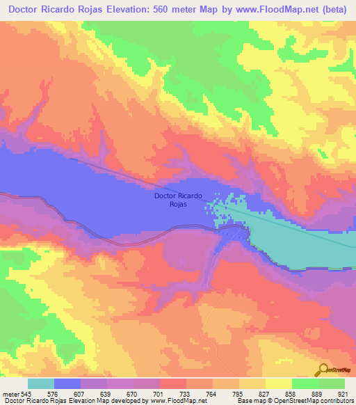 Doctor Ricardo Rojas,Argentina Elevation Map