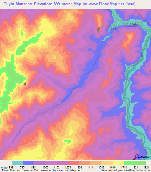 Cuyin Manzano,Argentina Elevation Map