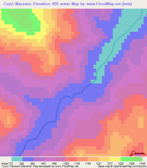Cuyin Manzano,Argentina Elevation Map