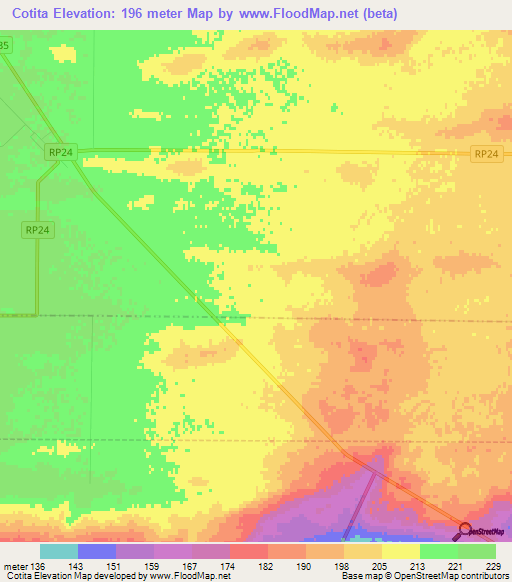 Cotita,Argentina Elevation Map