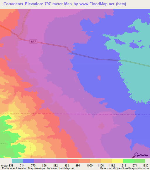 Cortaderas,Argentina Elevation Map