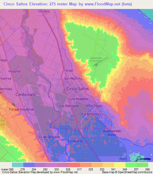 Cinco Saltos,Argentina Elevation Map