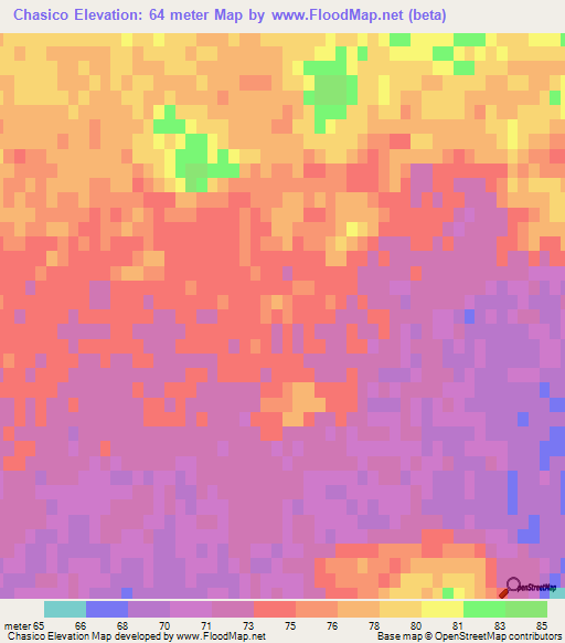 Chasico,Argentina Elevation Map