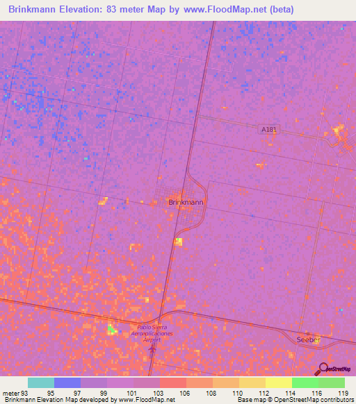 Brinkmann,Argentina Elevation Map
