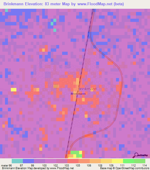 Brinkmann,Argentina Elevation Map