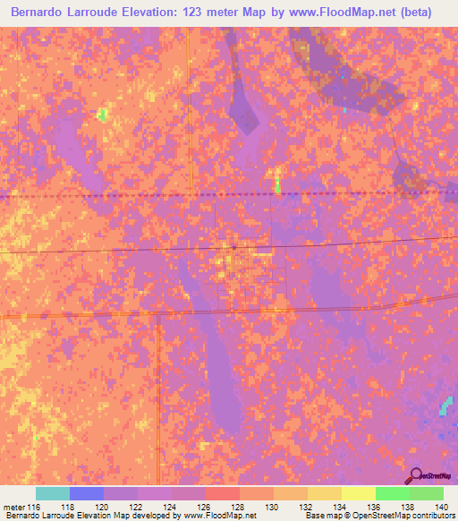 Bernardo Larroude,Argentina Elevation Map