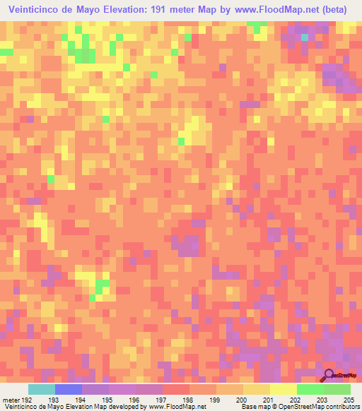 Veinticinco de Mayo,Paraguay Elevation Map