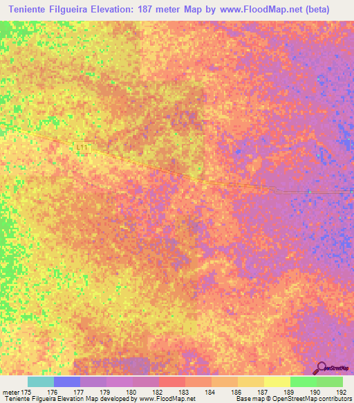 Teniente Filgueira,Paraguay Elevation Map