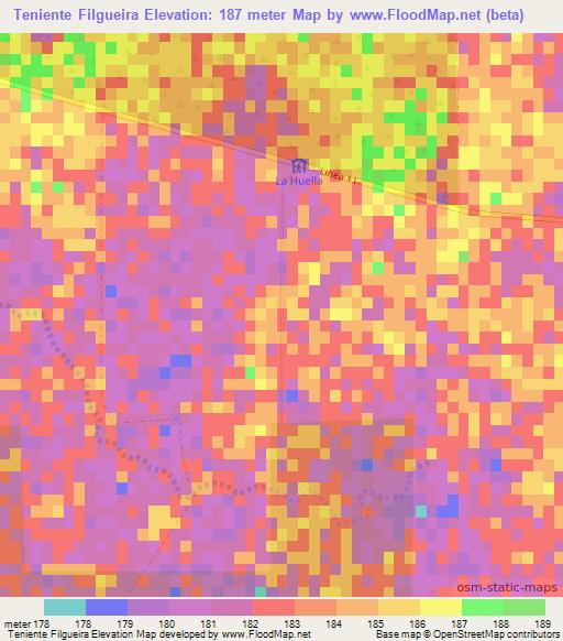 Teniente Filgueira,Paraguay Elevation Map