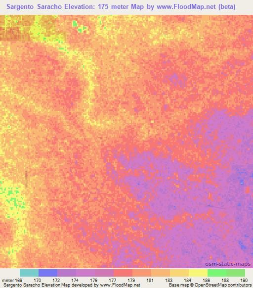 Sargento Saracho,Paraguay Elevation Map