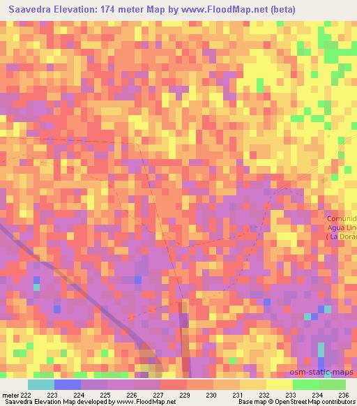 Saavedra,Paraguay Elevation Map