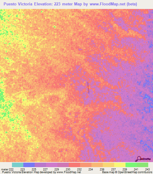 Puesto Victoria,Paraguay Elevation Map