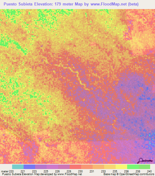 Puesto Subieta,Paraguay Elevation Map