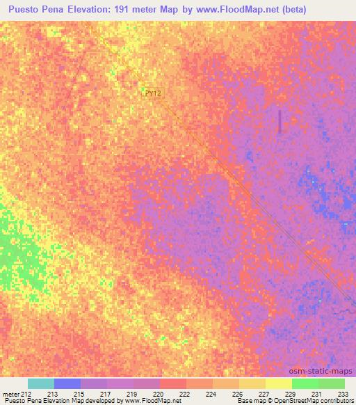 Puesto Pena,Paraguay Elevation Map