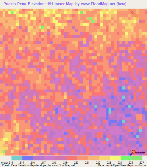 Puesto Pena,Paraguay Elevation Map