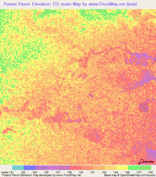 Puesto Pavon,Paraguay Elevation Map