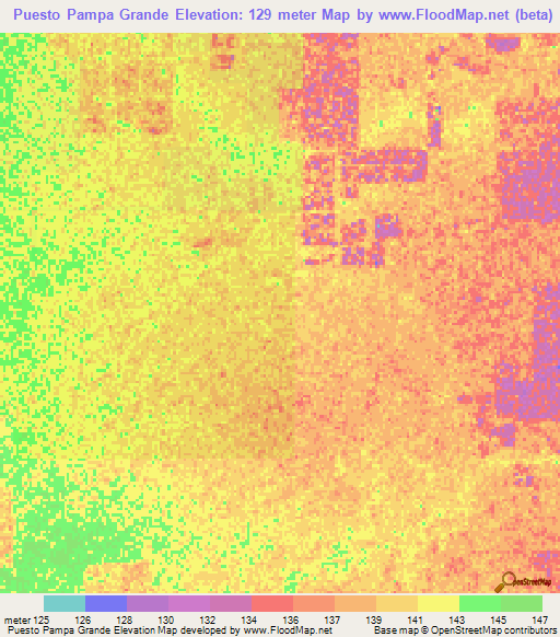 Puesto Pampa Grande,Paraguay Elevation Map