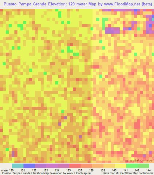 Puesto Pampa Grande,Paraguay Elevation Map