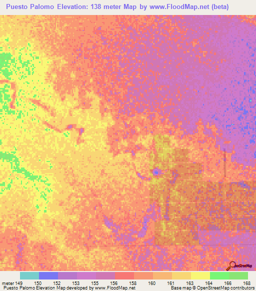 Puesto Palomo,Paraguay Elevation Map