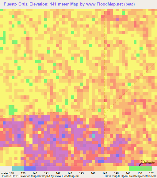 Puesto Ortiz,Paraguay Elevation Map