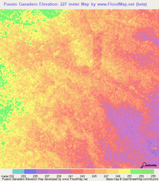 Puesto Ganadero,Paraguay Elevation Map