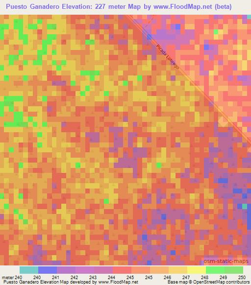 Puesto Ganadero,Paraguay Elevation Map