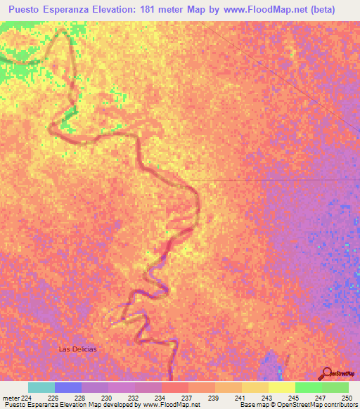 Puesto Esperanza,Paraguay Elevation Map