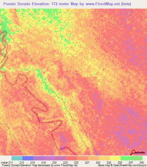 Puesto Dorado,Paraguay Elevation Map