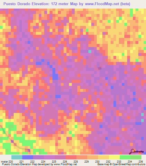 Puesto Dorado,Paraguay Elevation Map